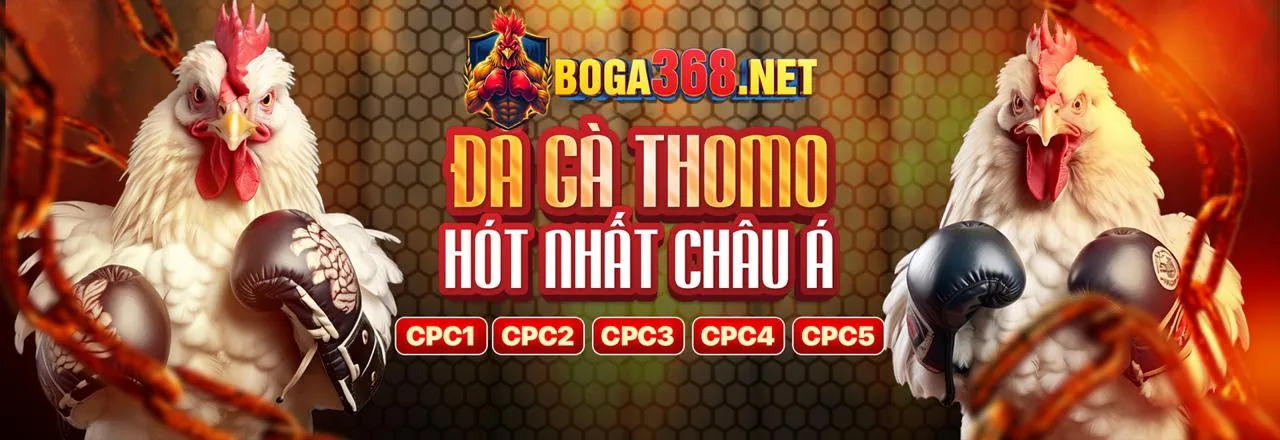 Đá gà trực tuyến ac888